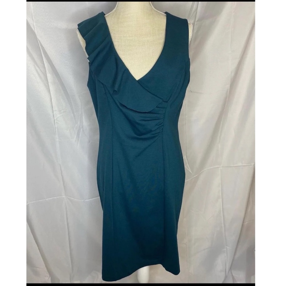 Adrienne Vittadini Dress (New With Tags)